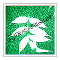 Leaf Impression Paper