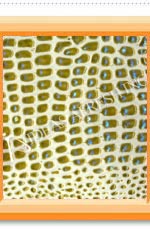 Colour Leather Embossed Paper