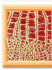 Leather Millenium Hand Made Paper