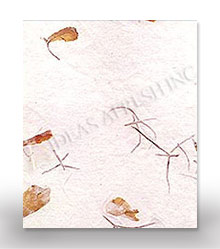 Flower Petal Paper