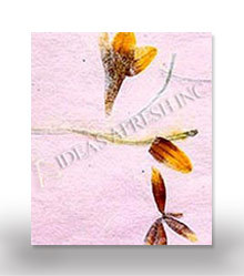 Pressed Flower Paper